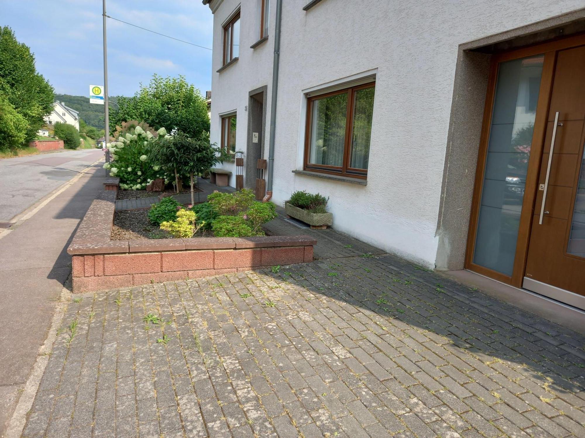 Ferienwohnung Waldblick Trassem Exteriér fotografie